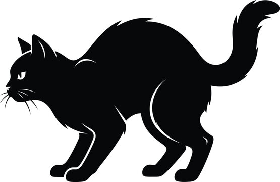 Black cat silhouette in arched back defensive posture isolated on white background, vector illustration