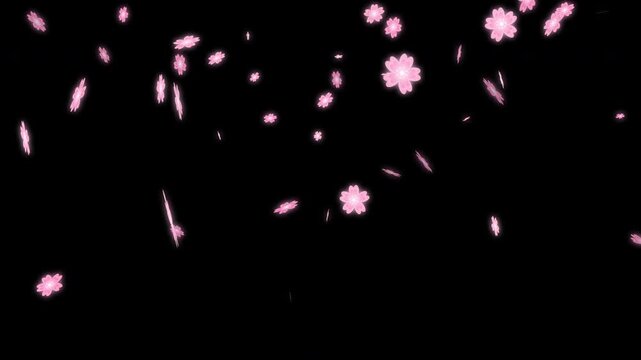 Falling Cherry Blossom Petals Explosion background overlay. easy to use place on footage or background.