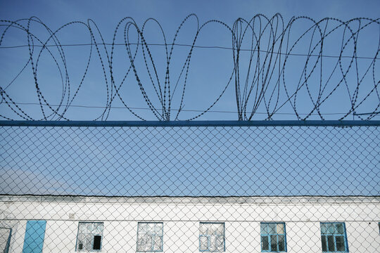 Coils of razor wire installed above a chain-link security fence against a clear blue sky.