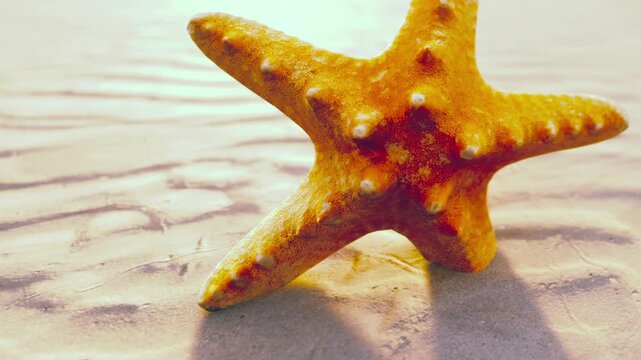 Bright orange starfish is perched on fine sand as gentle waves flow over the shore. Sunlight dances on the water, creating a tranquil coastal scene at daytime.