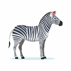 zebra vector illustration © Baloch Baloch