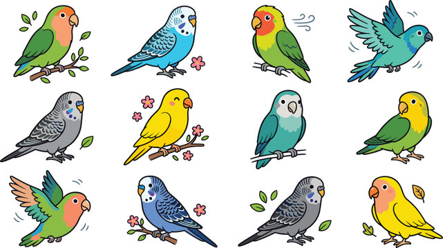 Budgerigar lovebird bird species flat icon collection vector graphic isolated on background