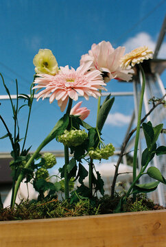 Cut flowers rise from a moss-lined wooden planter