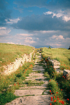 Ancient stone path lined with poppies beneath a dramatic sky