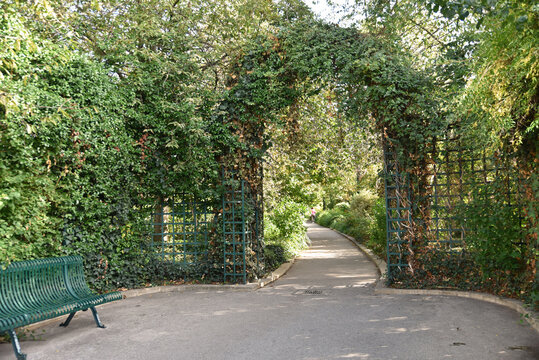 Pergolas au jardin en automne