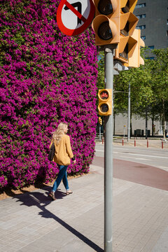Blonde Woman Walking Along a Flowering City Hedge