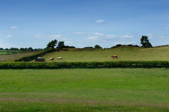 Country Farmland in Ireland