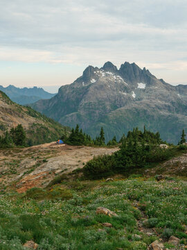 Blue tent on the meadow in the mountains on Vancouver island