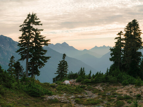 White tent on an alpine ridge on Vancouver island