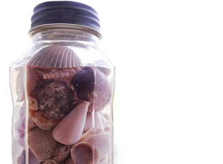 Sea shells in a glass jar © XMCDVI