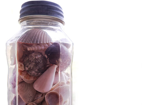 Sea shells in a glass jar