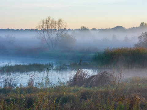 A serene and misty river landscape at dawn features thick fog rolling over the calm water, distant trees, and reeds.