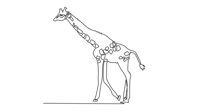 Self drawing animation of single line draw tall giraffe walking gracefully across savanna grassland. Long patterned neck, spotted hide, slender leg, upright gait. Continuous line. Full length animated