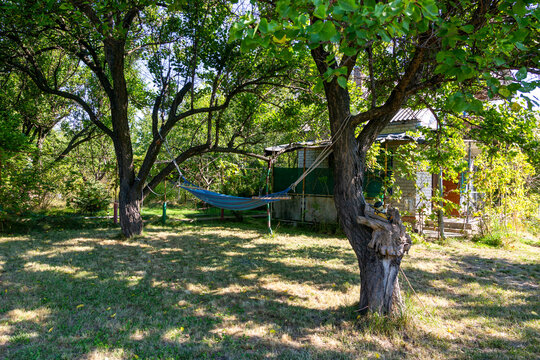 Blue hammock suspended between trees against the backdrop of the property