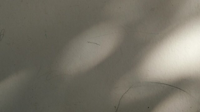 Soft natural sunlight and shadows falling on a beige weathered plaster wall, warm light pattern with copy space, minimalist texture background