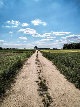 Dirt road stretching through green agricultural fields in the Polish countryside under a blue cloudy sky