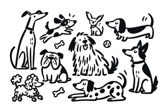 Dog Breeds Hand Drawn Doodle Set with Playful Cartoon Dogs, Puppies and Pet Accessories