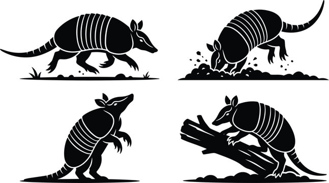 armadillo silhouette vector set, black wild armadillos running, digging, and exploring for wildlife graphic design