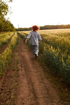 Red-haired woman walks along a dirt path between sunlit golden grain fields