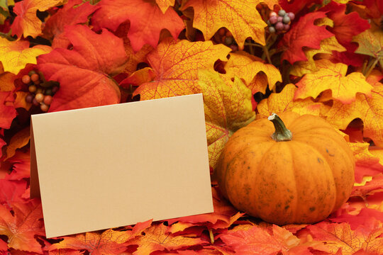 Autumn scene with fall leaves, pumpkin and blank greeting card for your autumn message