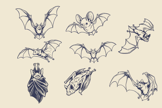 Flying Halloween Bats with Spread Wings and Hanging Poses Vector Set
