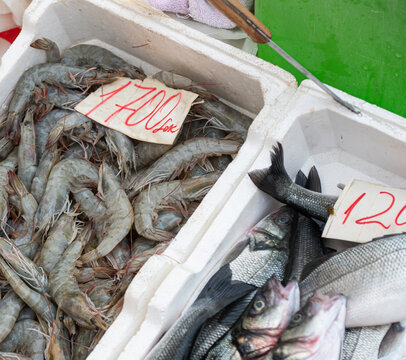 Shrimp and fish displayed in foam boxes at a market stall