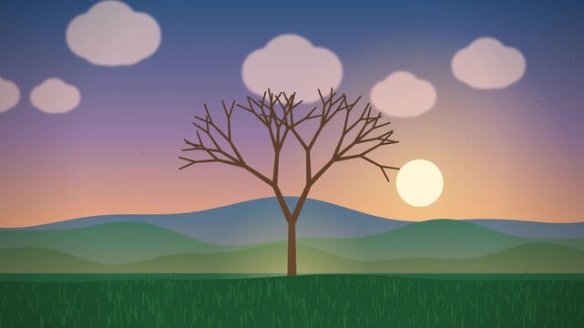 Tree growing from a seed at sunrise, nature growth and sustainability concept animation