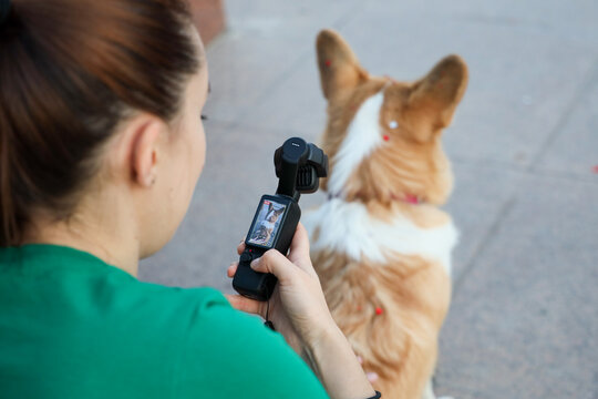 Woman Recording Small Corgi From Behind With Handheld Camera On Paved Street, Capturing Pet Moment Outdoors With Shallow Focus, Soft Light, Casual Lifestyle Scene In City Setting.