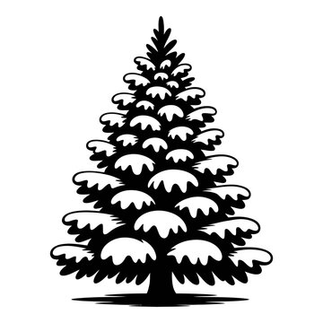 Evergreen tree with layered branches is depicted as a black silhouette
