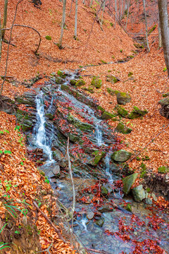 small waterfall in the autumn forest. mossy boulders among fallen foliage. nice autumnal scenery of Transcarpathia to travel.