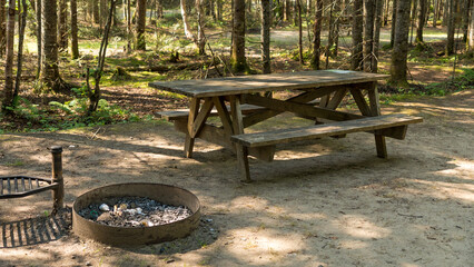 Wooden picnic table beside a metal fire ring in a sunlit forest clearing at an outdoor campsite © JuliaDorian