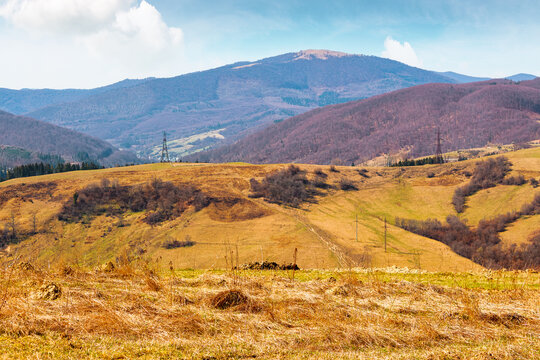 mountainous rural landscape of ukraine in spring. picturesque highland. grassy meadow on a sunny morning. carpathian countryside scenery with forest on a hill behind the pasture