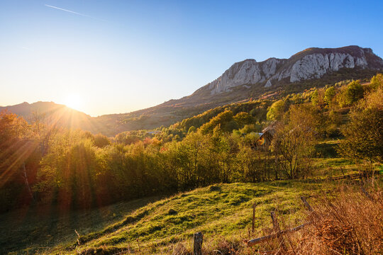 beautiful autumn afternoon in mountains. trees on the edge of Buces Vulcan mountain of Transylvania in fall colors. wonderful countryside of romania on a sunny weather in evening