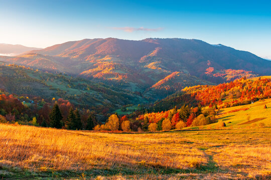 mountainous countryside landscape at sunrise. peaceful sky above the distant valley. colorful fields and trees on the hill. beautiful nature landscape of Carpathians