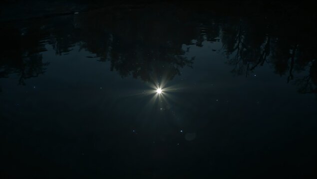 A sunny day in a seemingly dark body of water, with the sun's rays shining through the surface