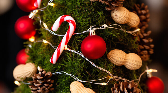  Vibrant festive close-up of a mini tree with red baubles, candy cane, and wire lights on green moss. Dark background. Cheerful holiday decoration.
