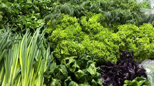 Green onions, curly lettuce, dill, parsley and purple basil displayed at a market, fresh vegetables, leafy greens, culinary herbs, healthy food