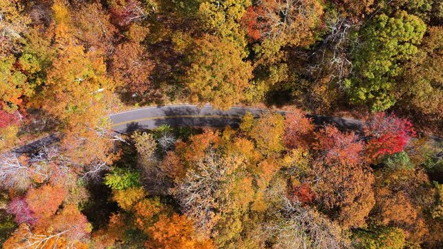 Scenic drive through majestic mountains in autumn season. Car traveling on curvy forest road under vibrant fall foliage.