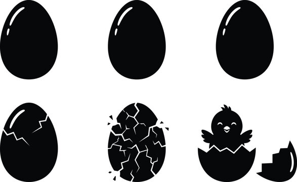 Egg hatching growth stage vector illustration set featuring solid whole eggs cracked shells and cute newborn little chicken bird