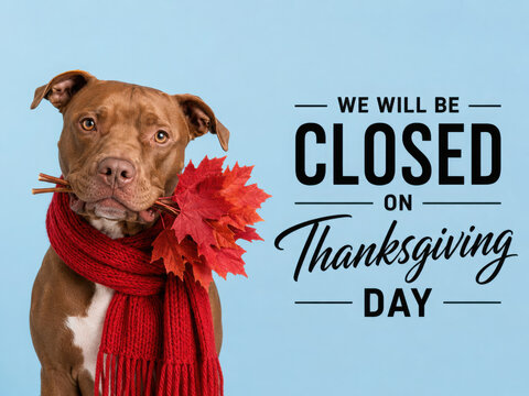 Signboard with the inscription We will be closed on Thanksgiving