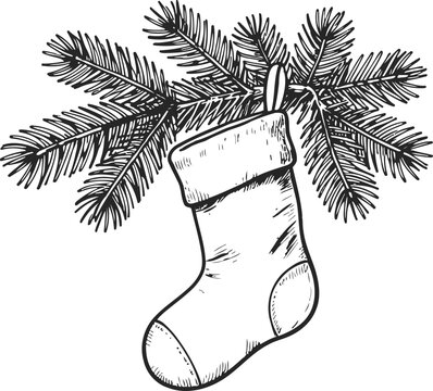 Christmas stocking hanging on pine branch holiday decoration sketch with fir tree and sock ornament