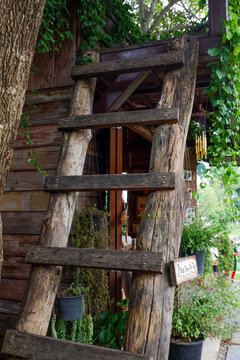Wooden Stair of treehouse,Surrounded by Trees,park,forest,nature,playground,climbing adventure park,Background with copy space for text.