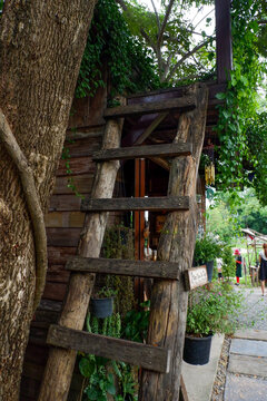 Wooden Stair of treehouse,Surrounded by Trees,park,forest,nature,playground,climbing adventure park,Background with copy space for text.