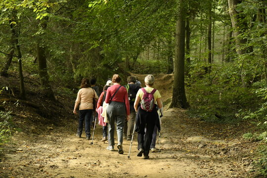 Marche sur un chemin ombrage dans un bois &agrave; Villers-la-Ville (Nivelles)