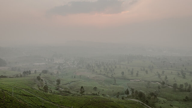 Aerial view of Wayang Windu Panenjoan tea plantations with rolling green hills, winding paths, and misty atmosphere in Pangalengan, West Java, Indonesia.