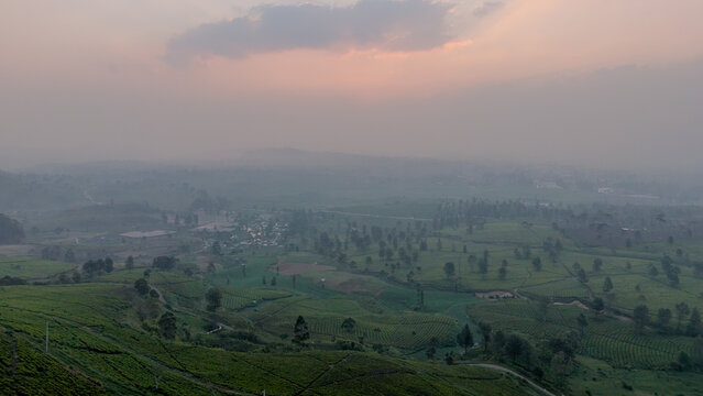 Aerial view of Wayang Windu Panenjoan tea plantation with lush green terraced hills, winding paths, and misty mountains in the background in Pangalengan, West Java, Indonesia.