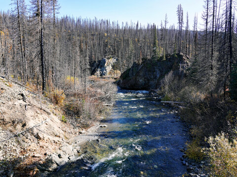 A clear mountain river flows between rocky volcanic bluffs and gravel banks flanked by a forest of charred snags recovering from a wildfire near Anahim Lake in the West Chilcotin region of British Col
