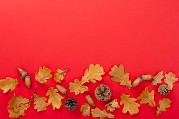 Autumn leaves with pumpkins on color background, top view © Liami