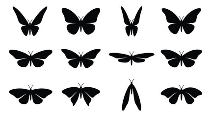 Collection of black silhouette butterflies and moths transparent background design elements © Mst. Taslima Akhter