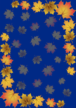 Autumn pattern with maple leaves on a dark blue background